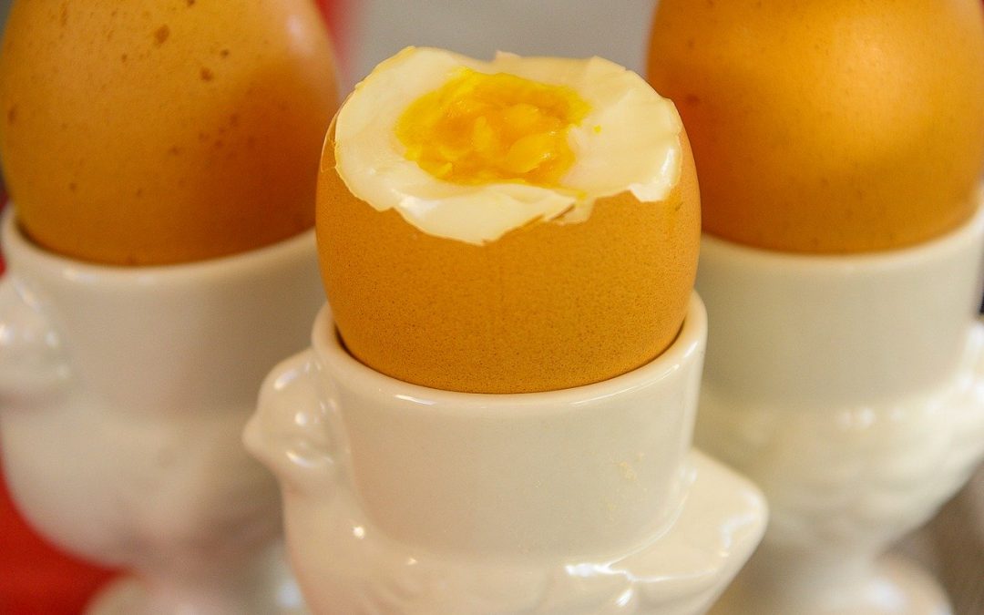 œuf cocotte aux graines de lin