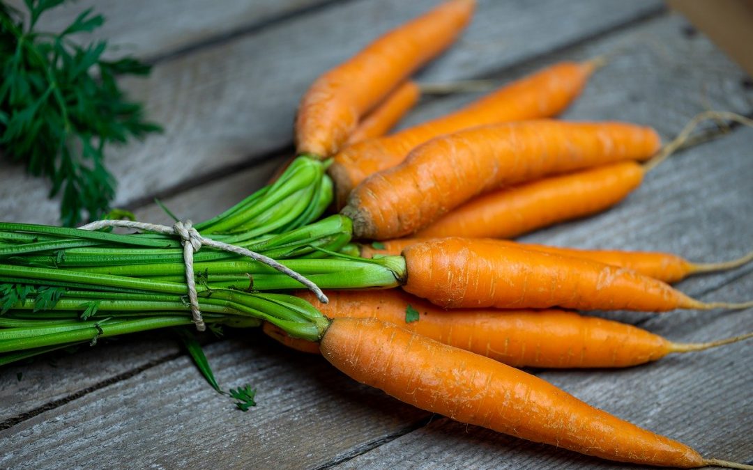 Salade de carottes